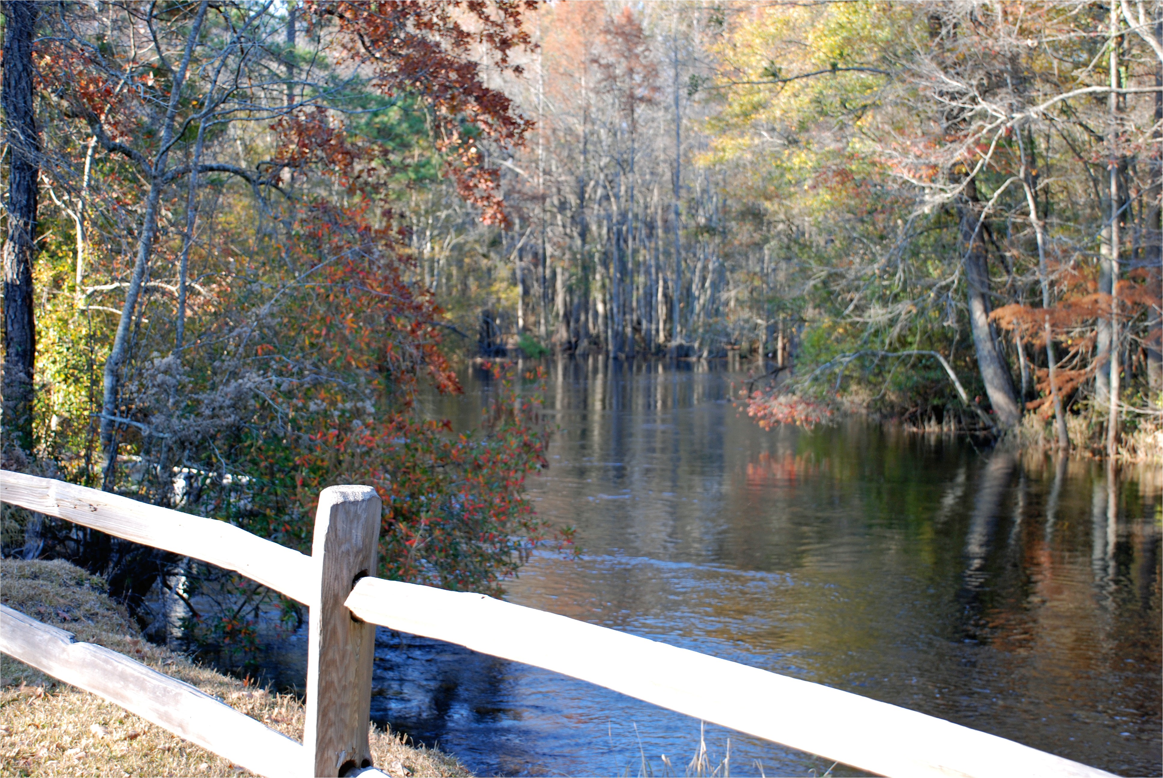 lumber river state park wagram nc