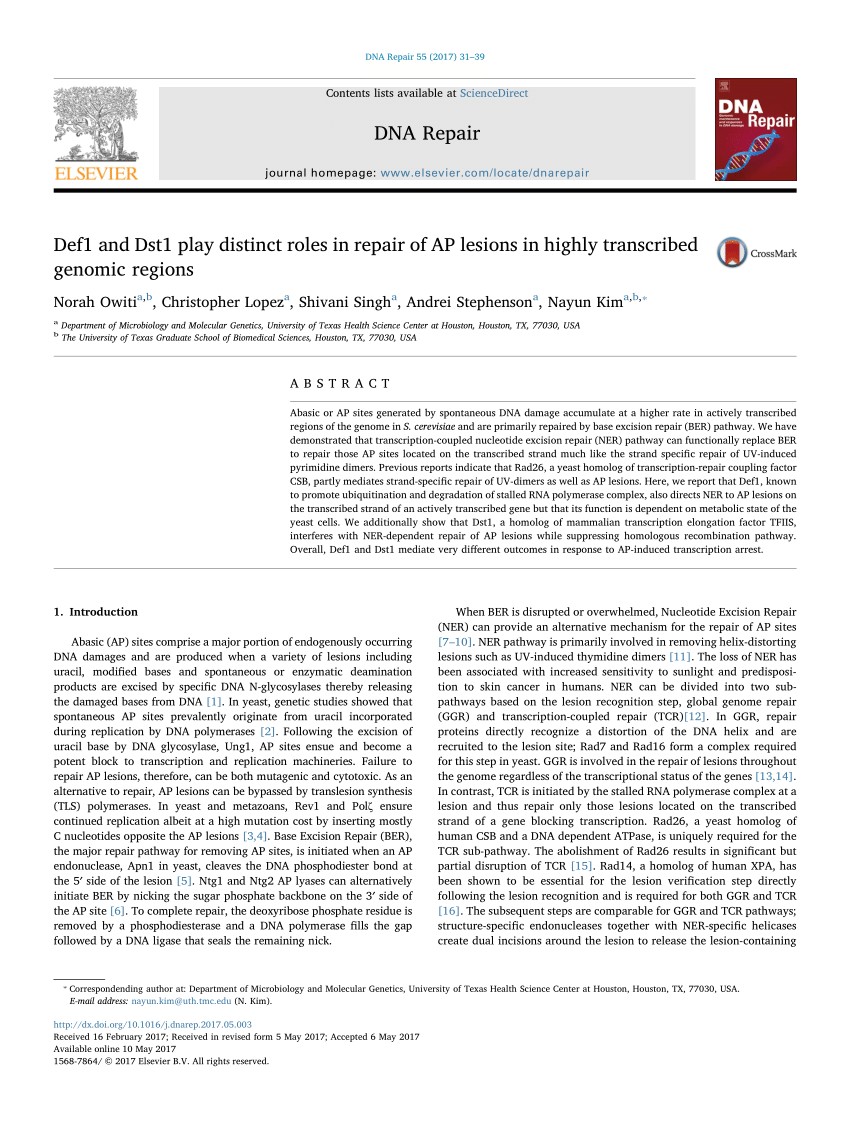 pdf def1 and dst1 play distinct roles in repair of ap lesions in highly transcribed genomic regions