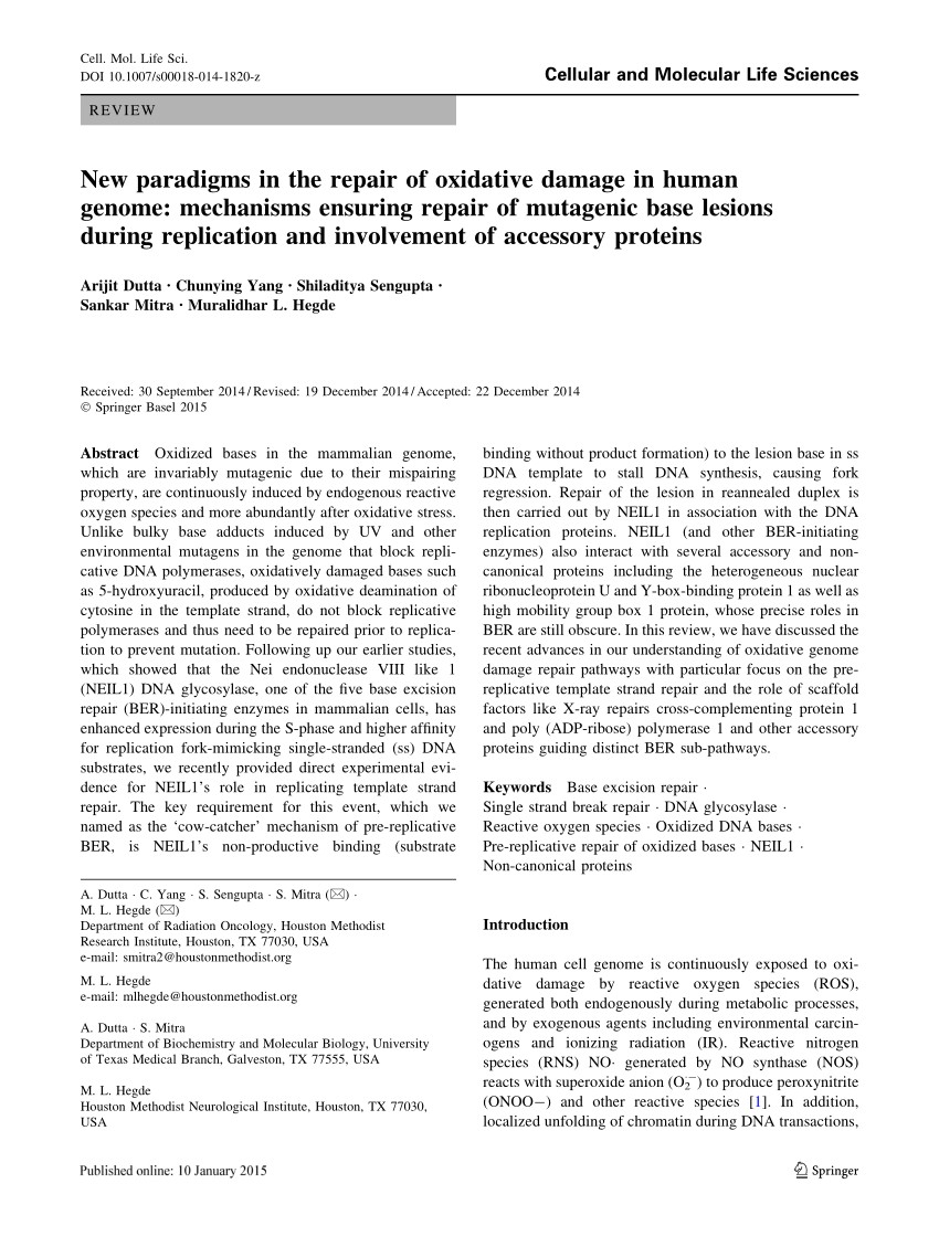 pdf new paradigms in the repair of oxidative damage in human genome mechanisms ensuring repair of mutagenic base lesions during replication and