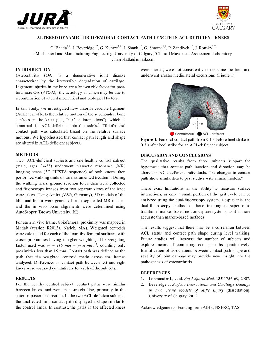 pdf surface interactions and cartilage damage in two ovine models of stifle injury