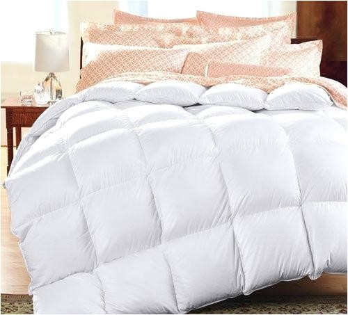 Top Rated Comforters Down Alternative Best Rated Down Comforter Best Down Comforters top Rated