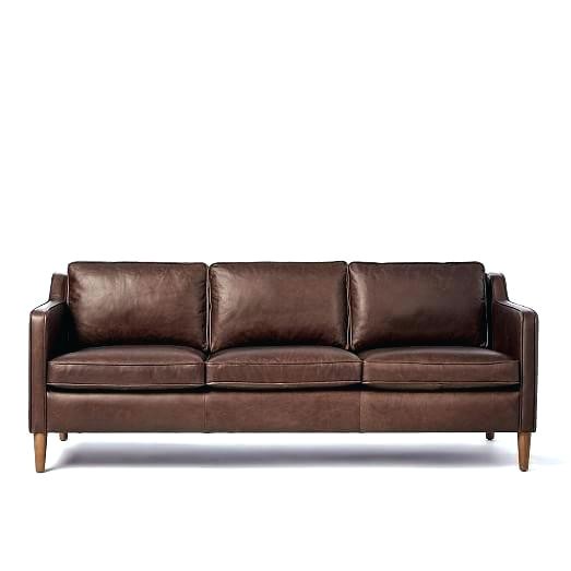 Types Of Leather Couches for Dogs Types Of sofas Types Of sofas top Couches and Chairs thesofa