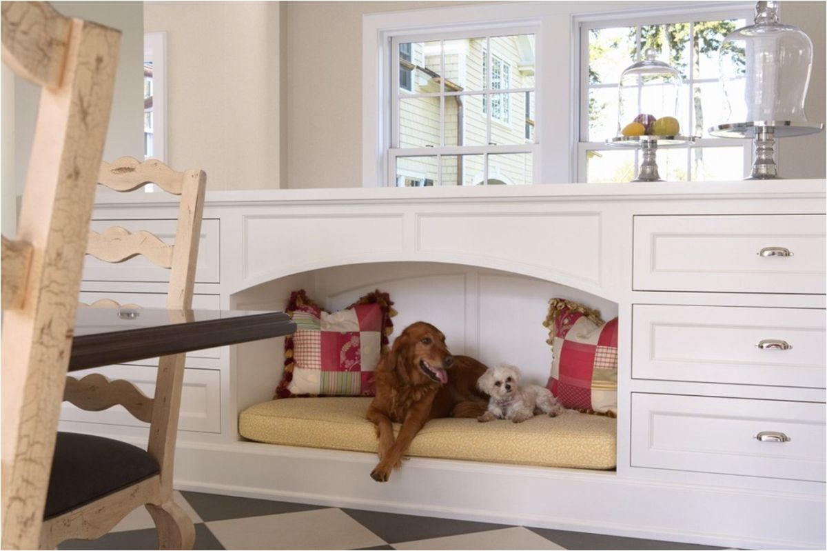 Vinyl Flooring Good for Dogs Choosing the Best Type Of Flooring for Dogs and their Owners