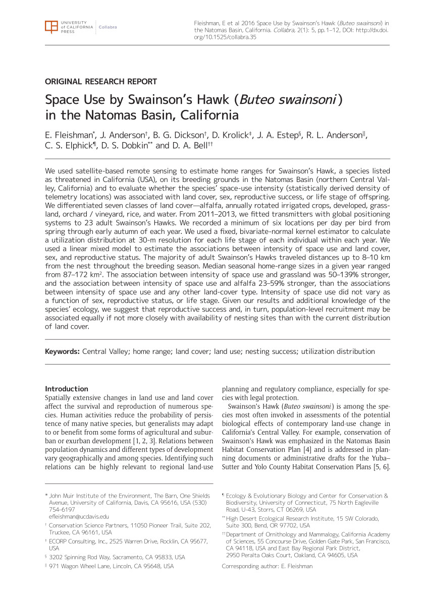 pdf wintering swainson s hawks in california s sacramento san joaquin river delta