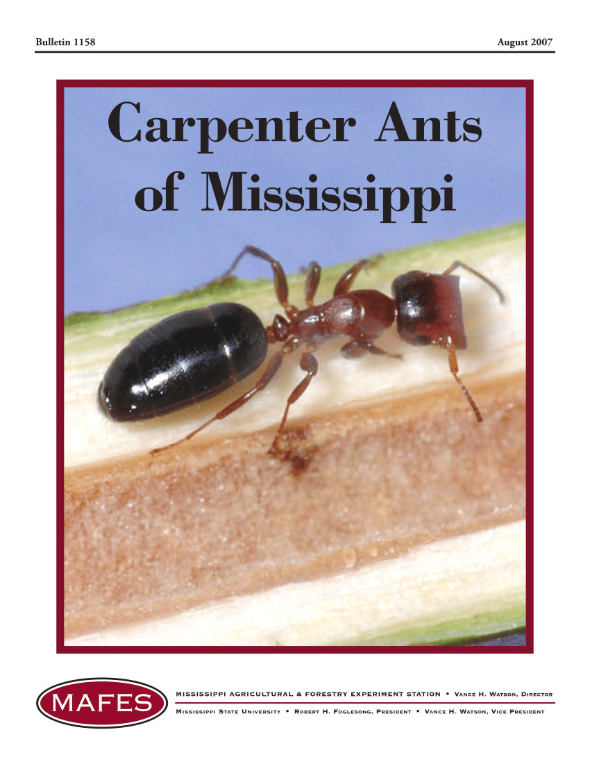 pdf carpenter ants of mississippi