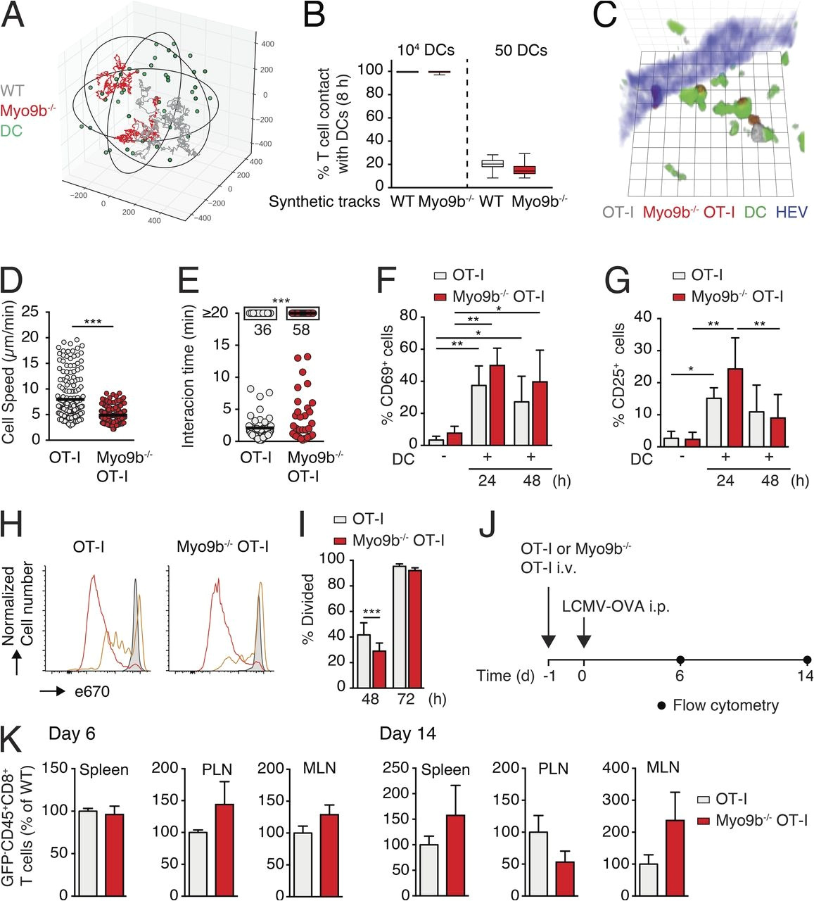 t mobile moreno valley new the rho regulator myosin ixb enables nonlymphoid tissue seeding of photos