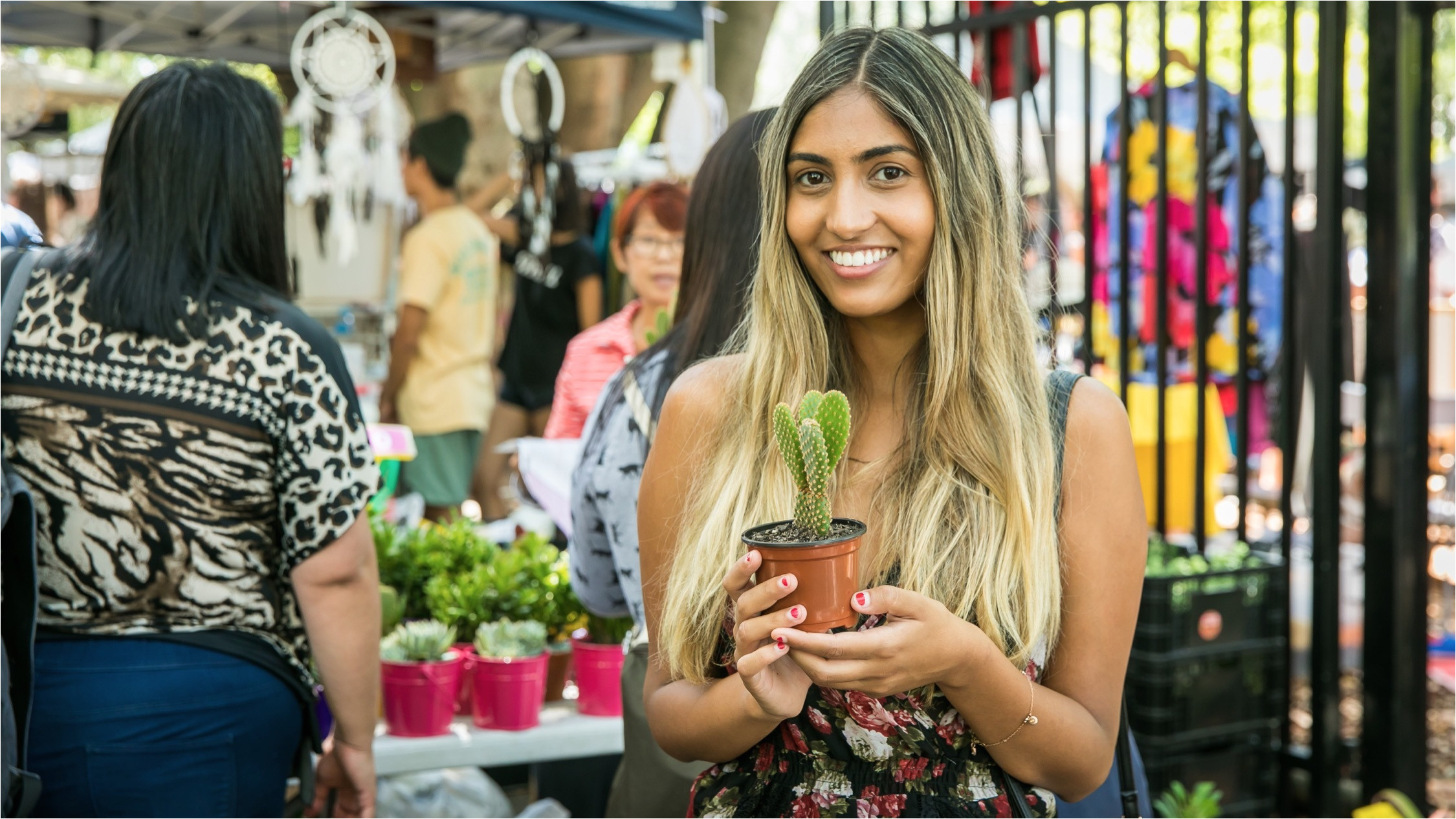 cactus at glebe markets