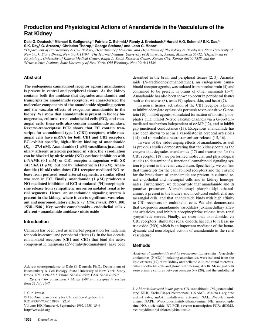 pdf production and physiological actions of anandamide in the vasculature of the rat kidney