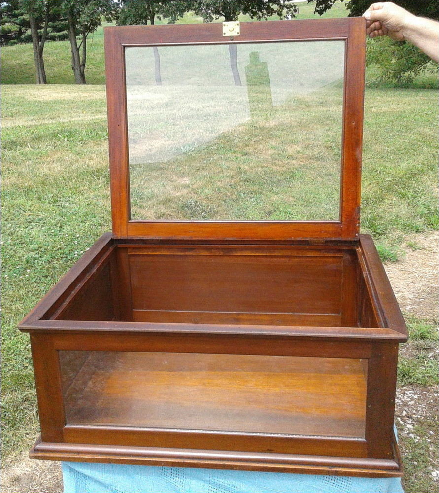 display show case table top lift lid original finish antique 1900 era ebay
