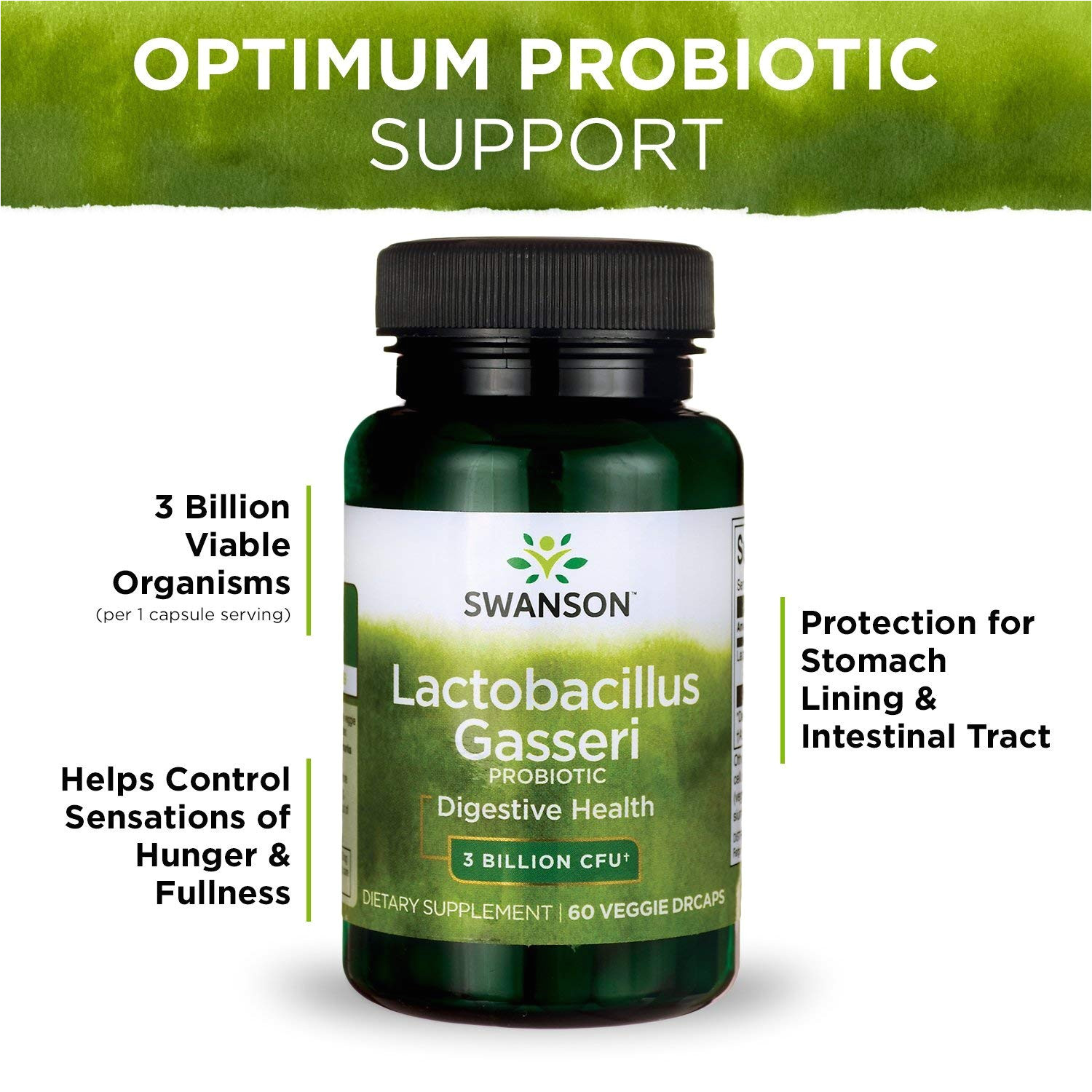 amazon com swanson lactobacillus gasseri 3 billion cfu digestive health fat metabolism satiety probiotic supplement 60 veggie capsules acid resistant