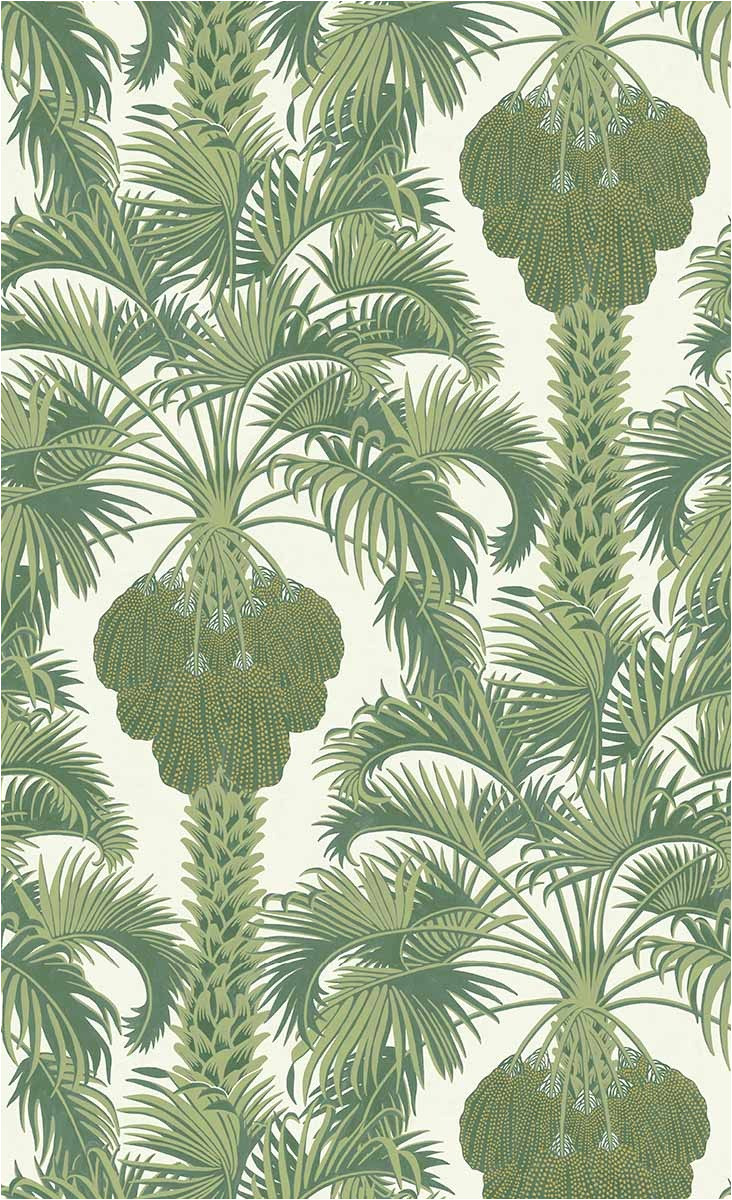 hollywood palm wallpaper cole and son jpg