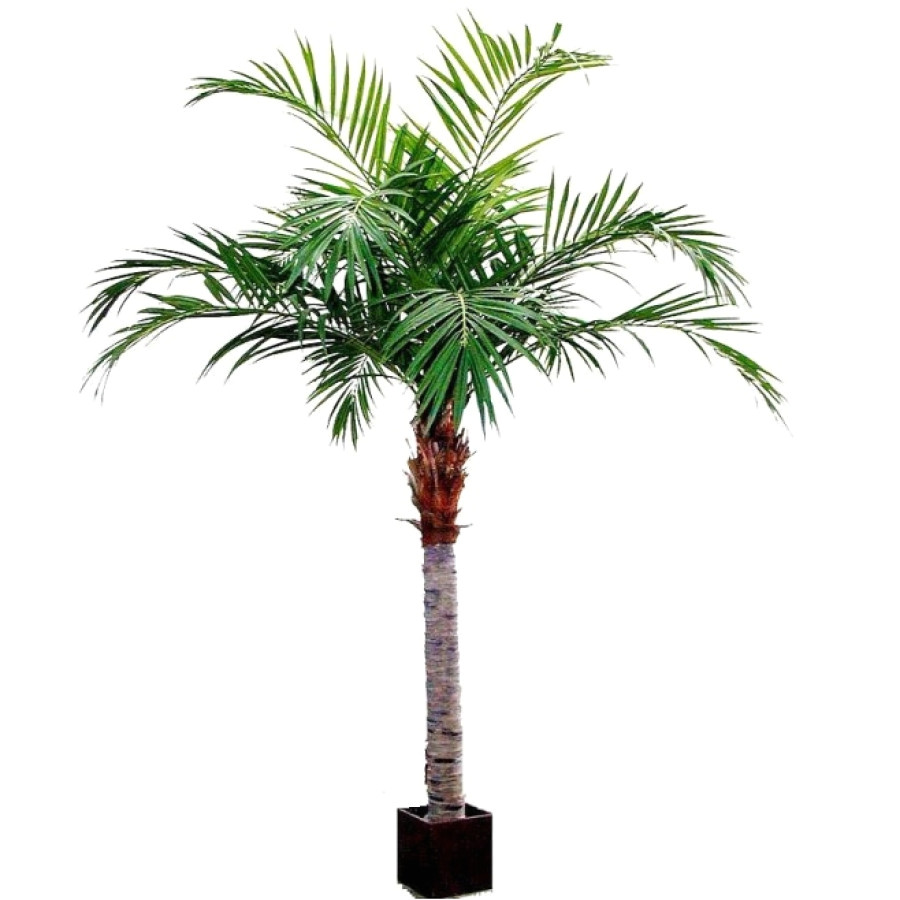 majesty artificial palm tree 350cm