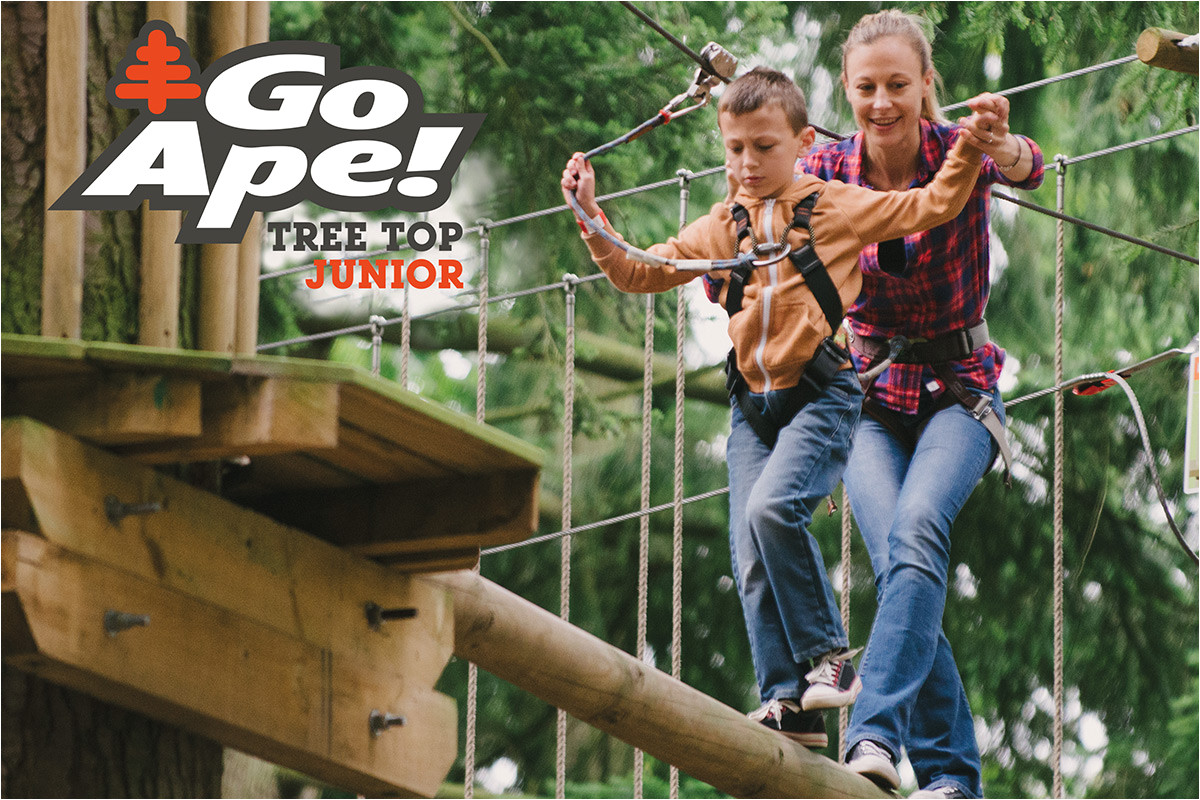 junior tree top adventure for two with go ape