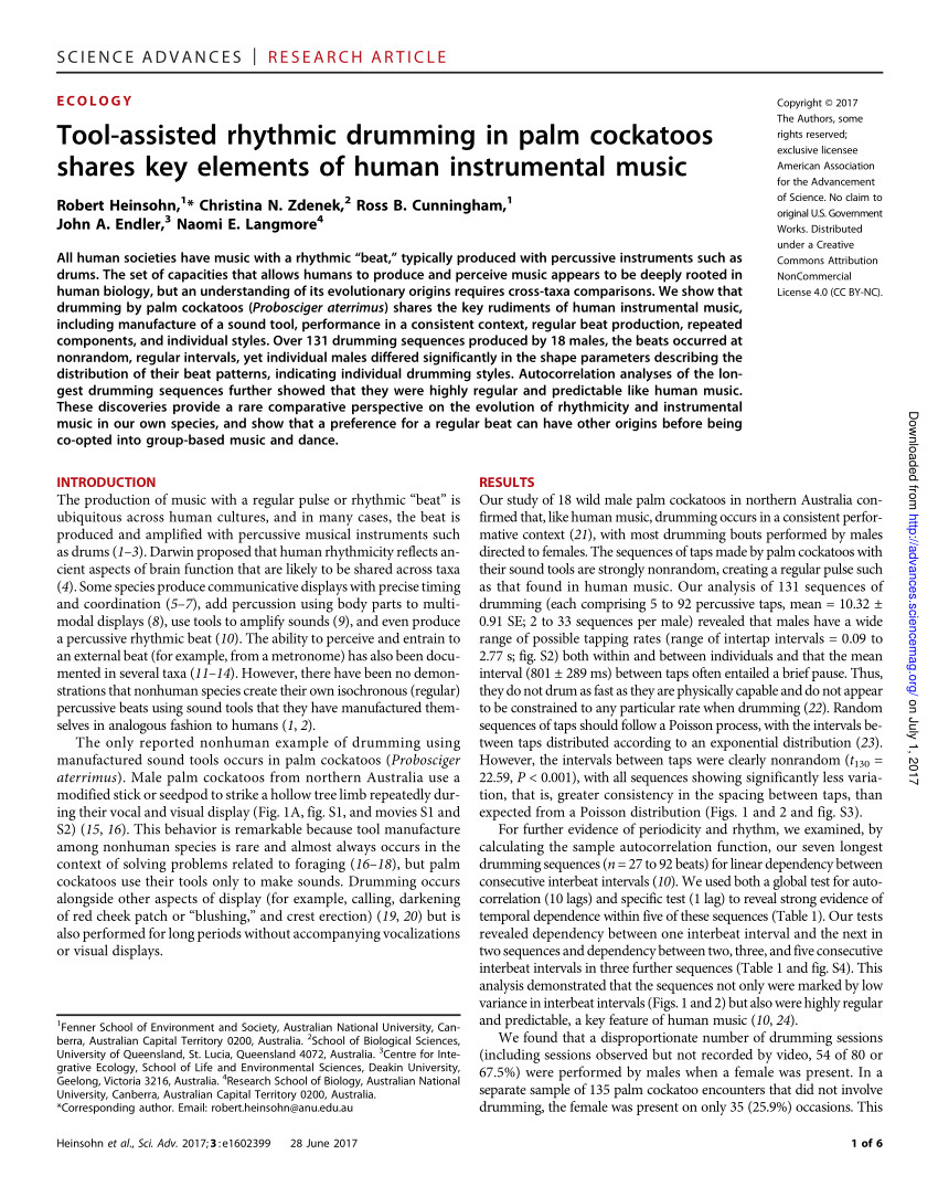 pdf tool assisted rhythmic drumming in palm cockatoos shares key elements of human instrumental music