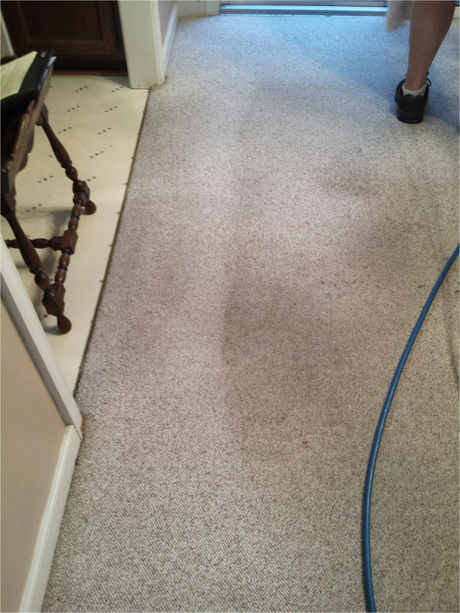 Carpet Cleaning Services Midlothian Va A Best Of Carpet Cleaners In Midlothian Va