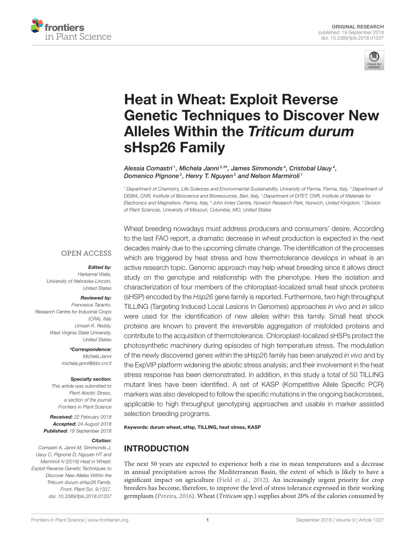 pdf molecular genetics of heat tolerance and heat shock proteins in cereals