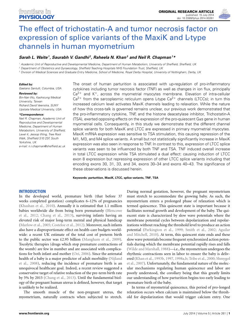 pdf the effect of trichostatin a and tumour necrosis factor on expression of splice variants of the maxik and l type channels in human myometrium