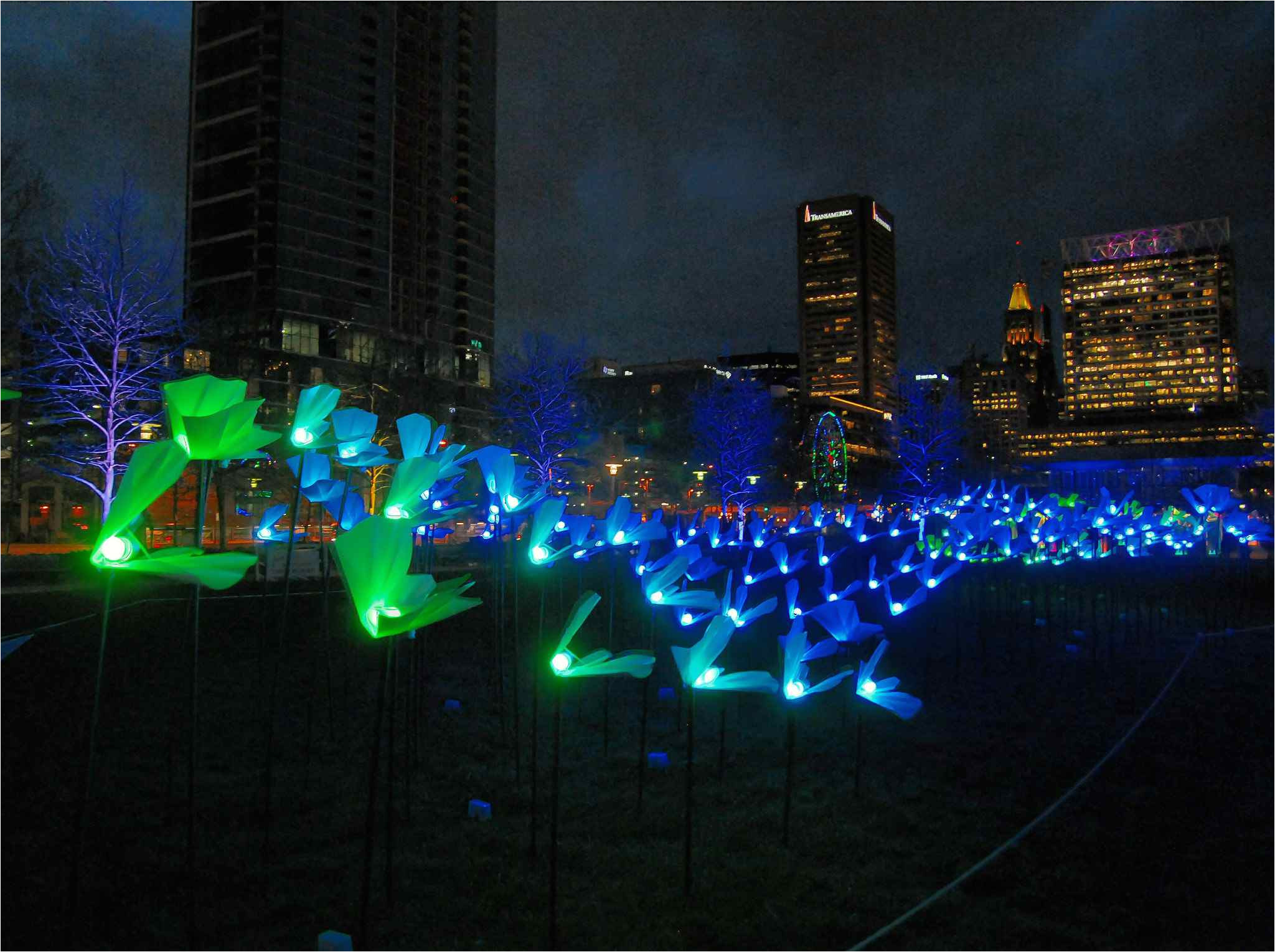 city light festival in baltimore maryland