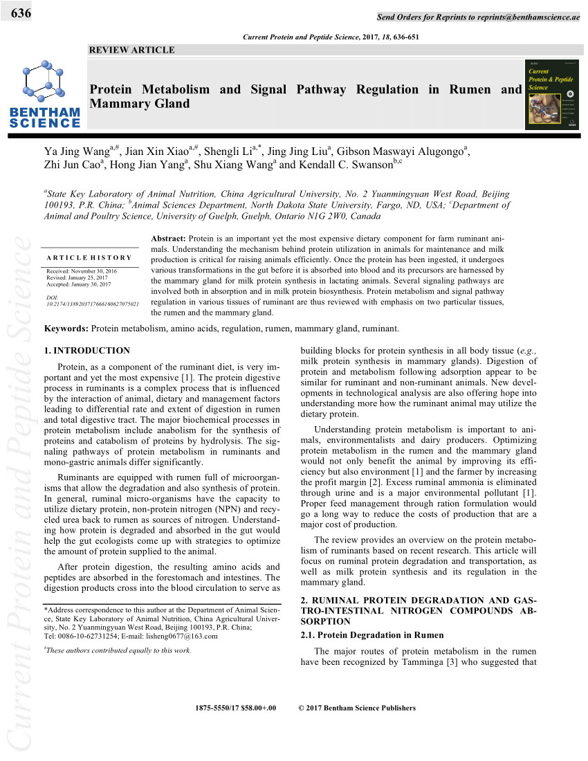 pdf protein metabolism and signal pathway regulation in rumen and mammary gland