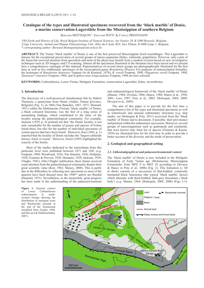 pdf catalogue of the types and illustrated specimens recovered from the black marble of denee a marine conservation lagerstatte from the mississippian