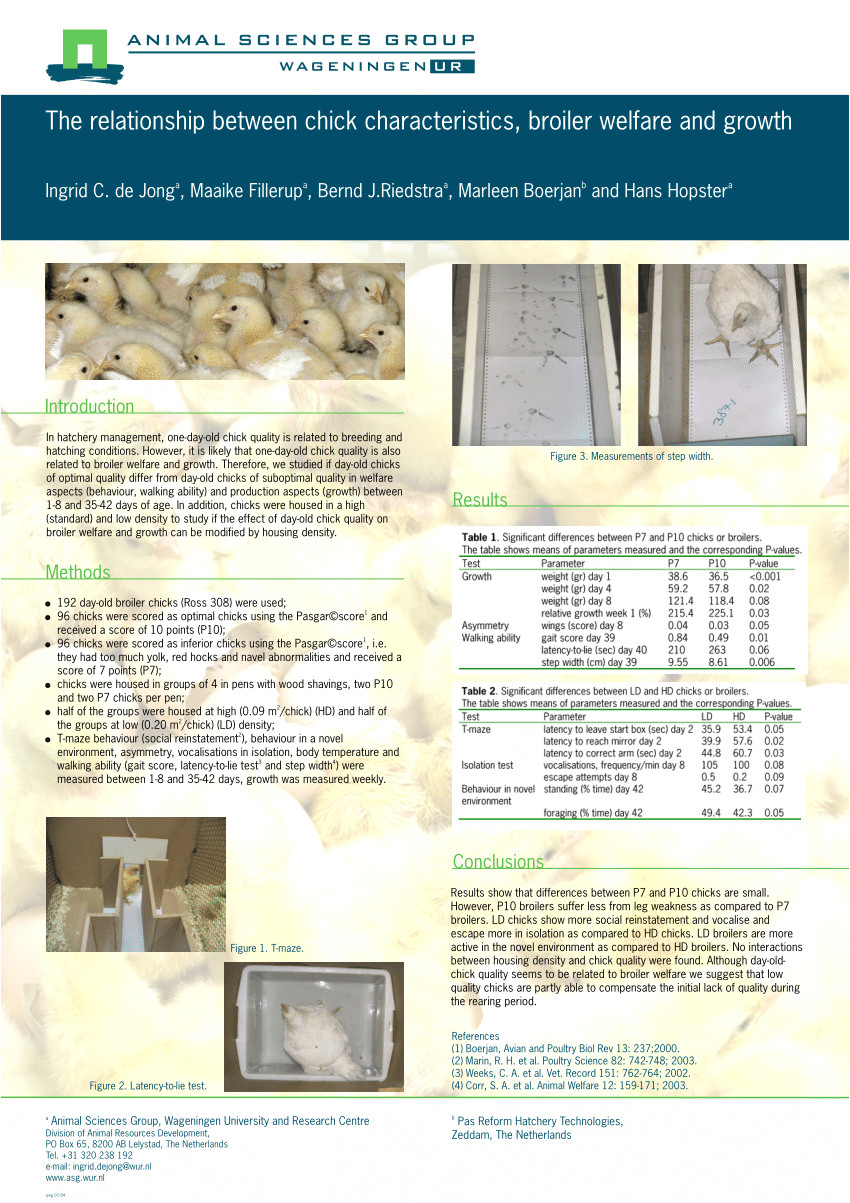 pdf the relationship between chick characteristics broiler welfare and growth