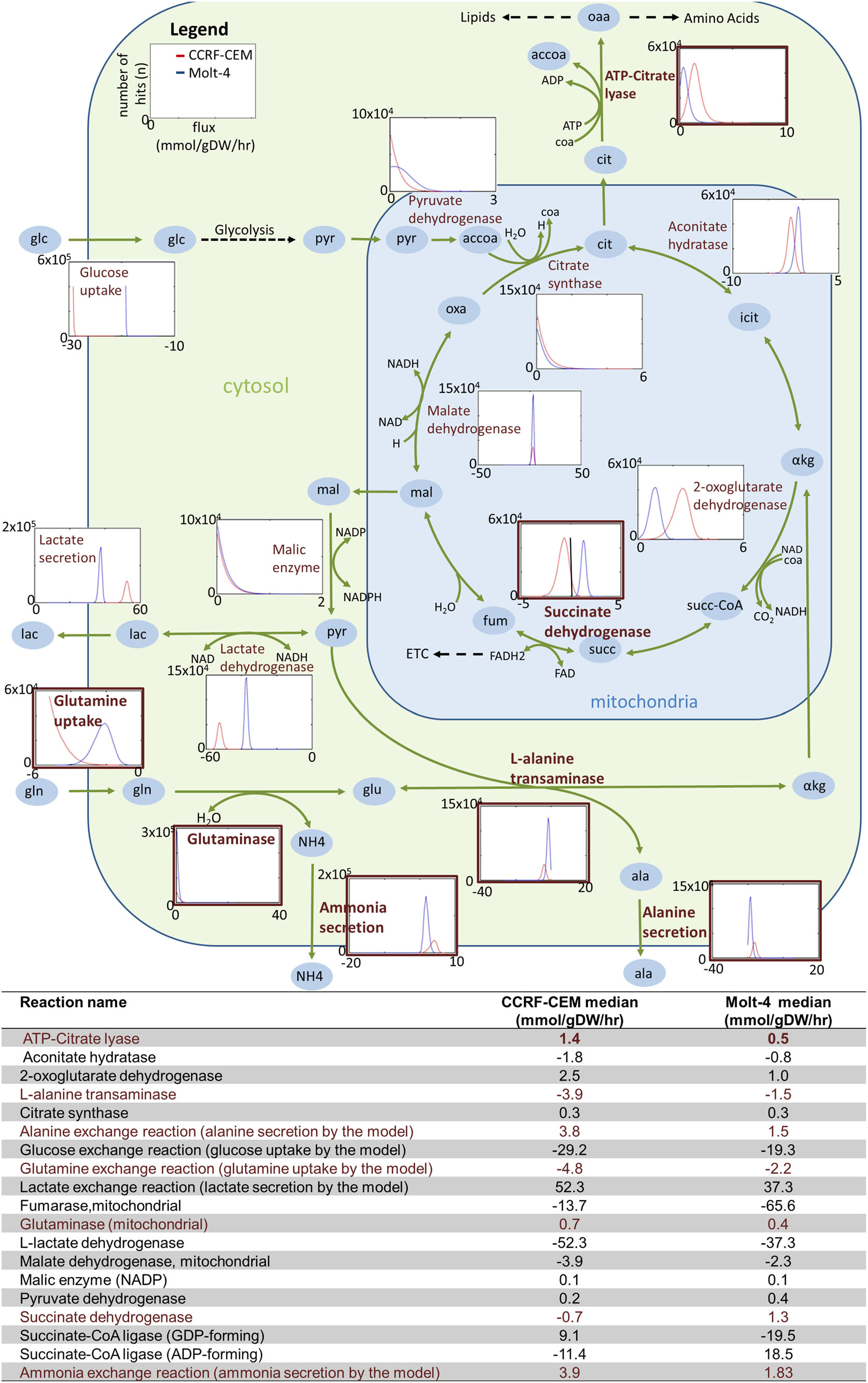 differences in the use of the tca cycle by the ccrf cem