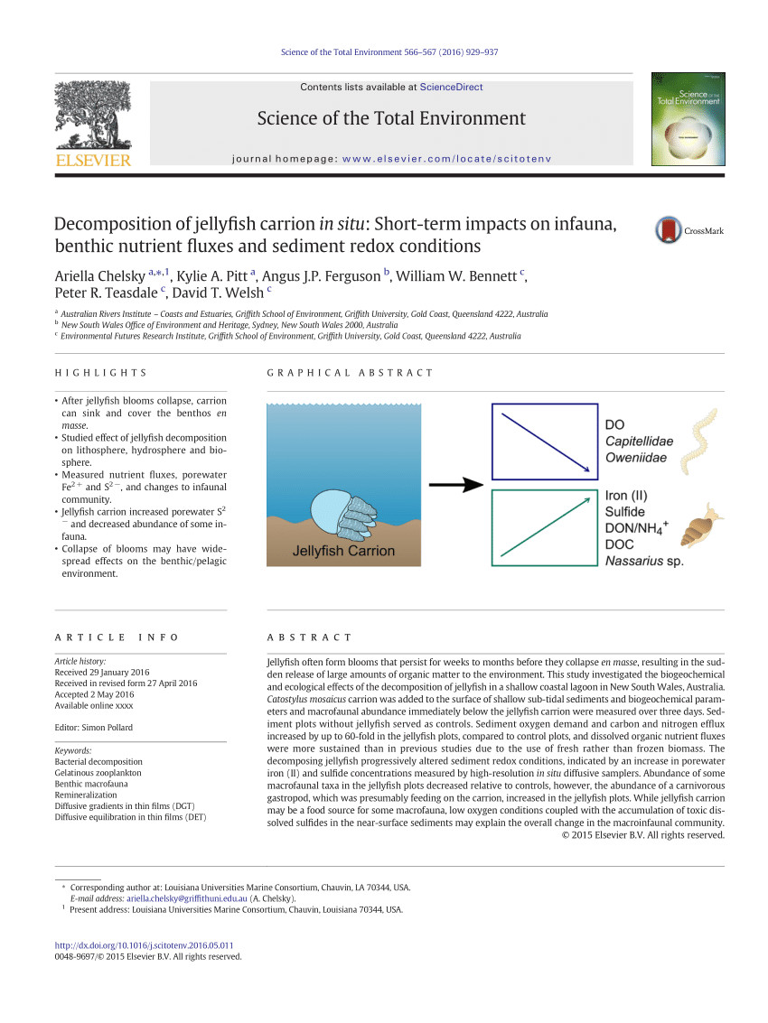 pdf decomposition of jellyfish carrion in situ short term impacts on infauna benthic nutrient fluxes and sediment redox conditions