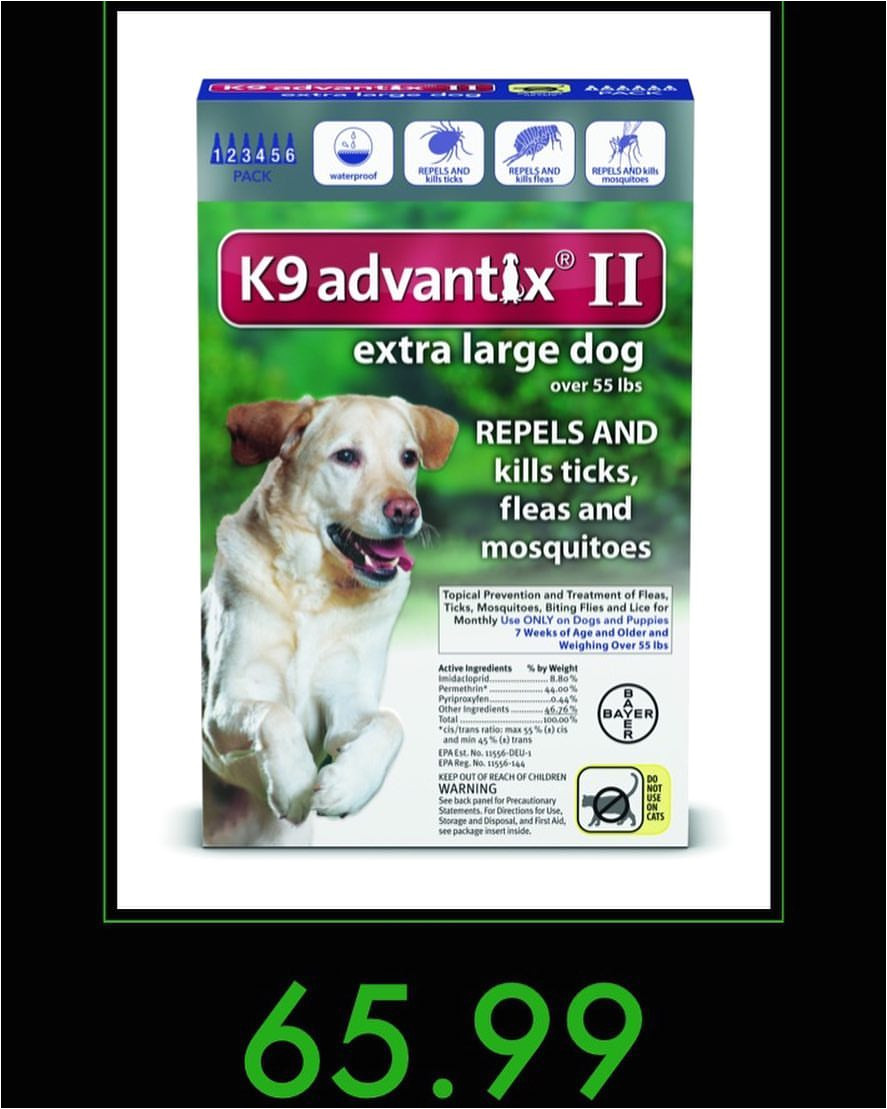 Comfortis for Dogs 20 40 Lbs Posts Tagged as Dogfleas Picdeer