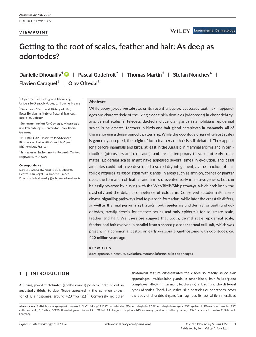 Difference Between Feather Down and Down Alternative Pdf Getting to the Root Of Scales Feather and Hair as Deep as