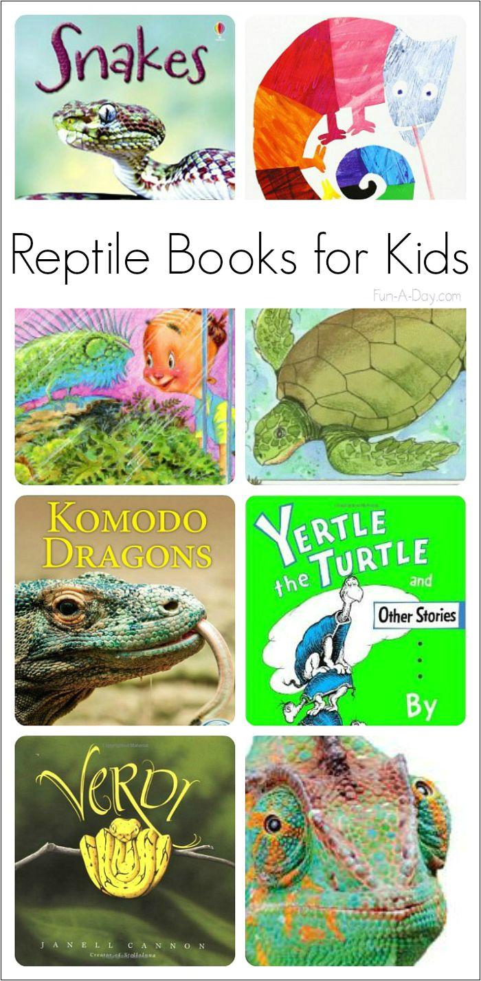 fiction and nonfiction reptile books for preschoolers