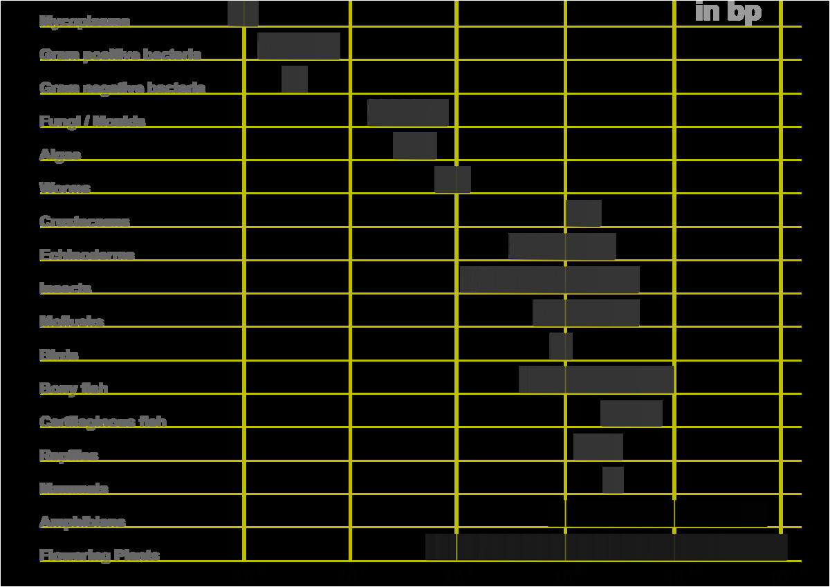 1200px genome sizes png