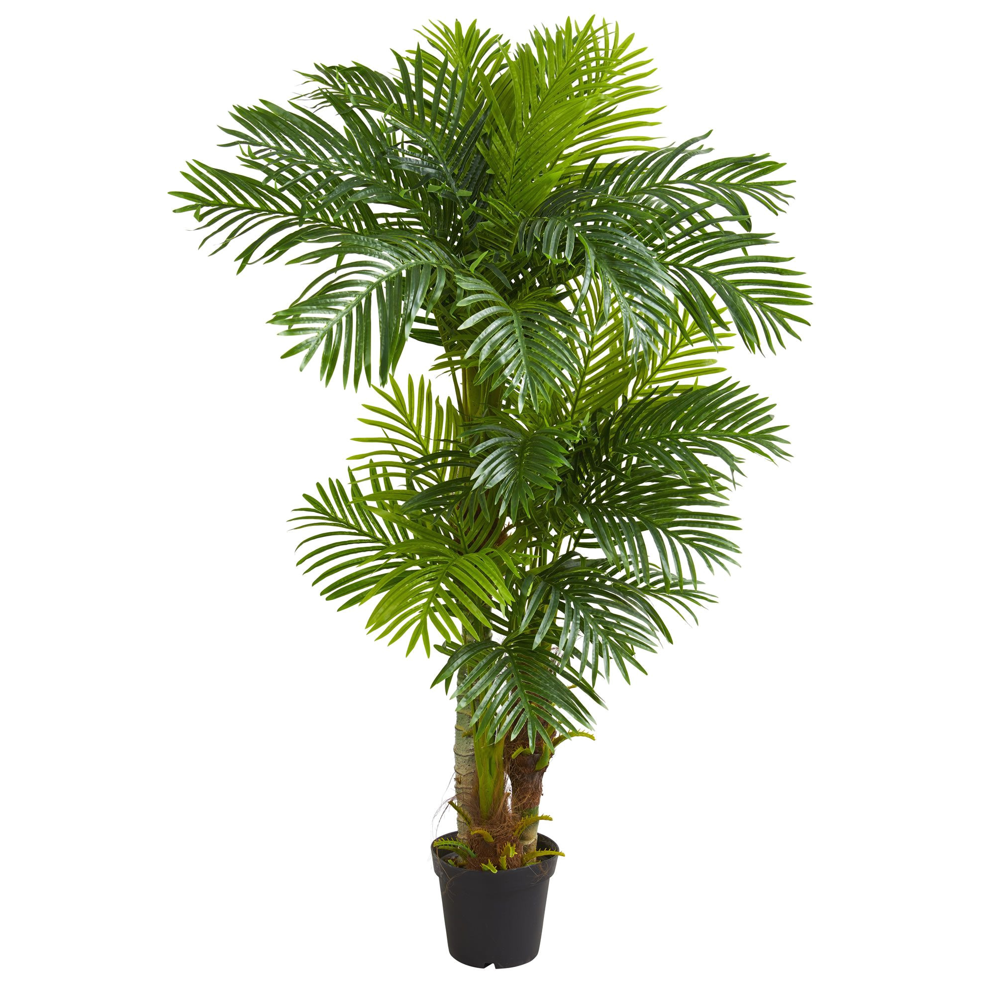 standing at six feet tall this artificial hawaii palm tree will effortlessly fill your home or office with a tropical warmth the lush green leaves that