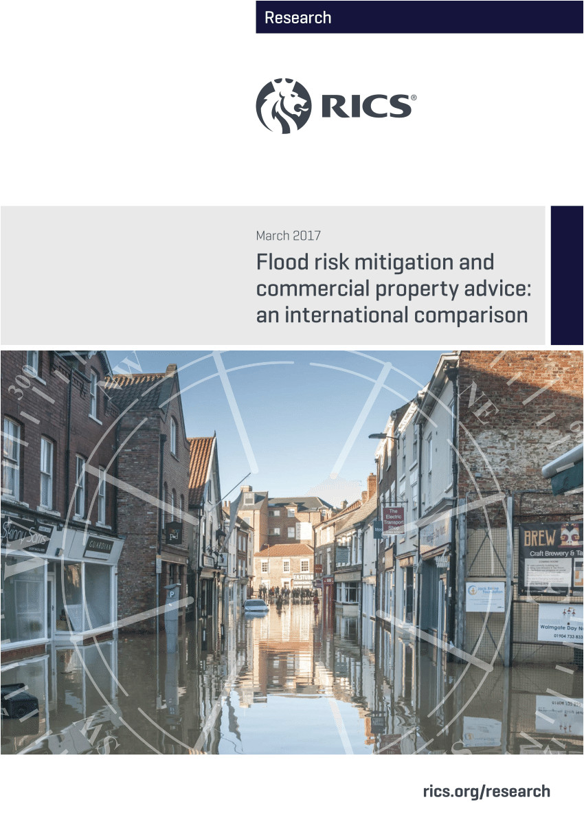 pdf flood risk mitigation and commercial property advice an international comparison