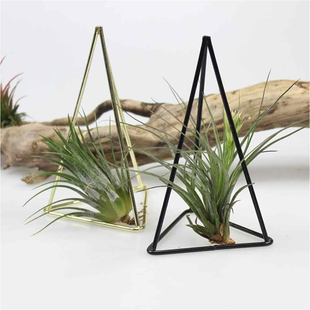 rustic style iron freestanding hanging metal geometrical triangle trihedron shaped tillandsia air plant receptacle flower stand