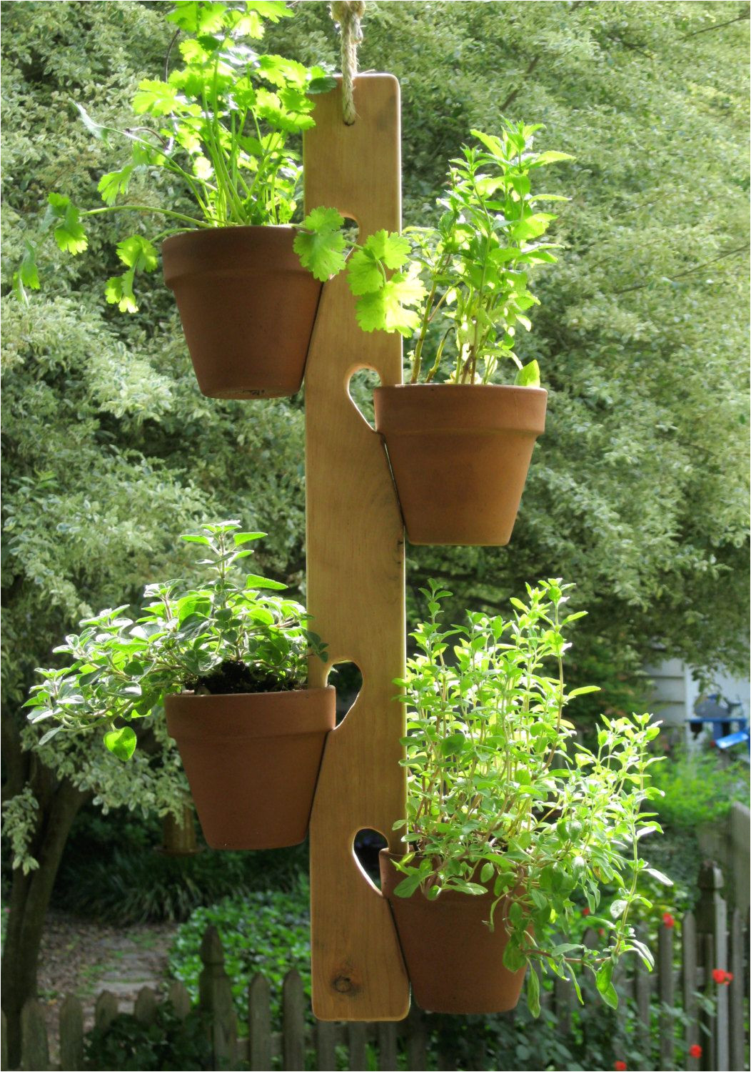 wooden dowel plant hanger google search