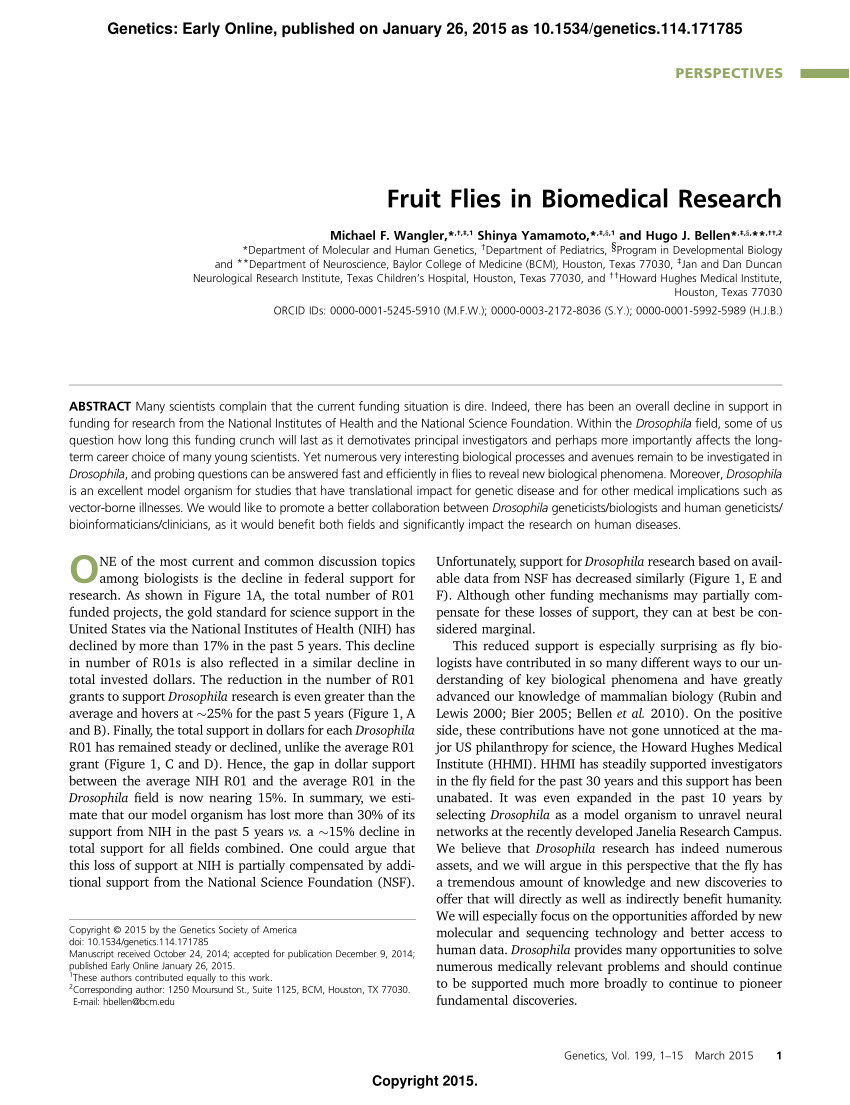 pdf fruit flies in biomedical research