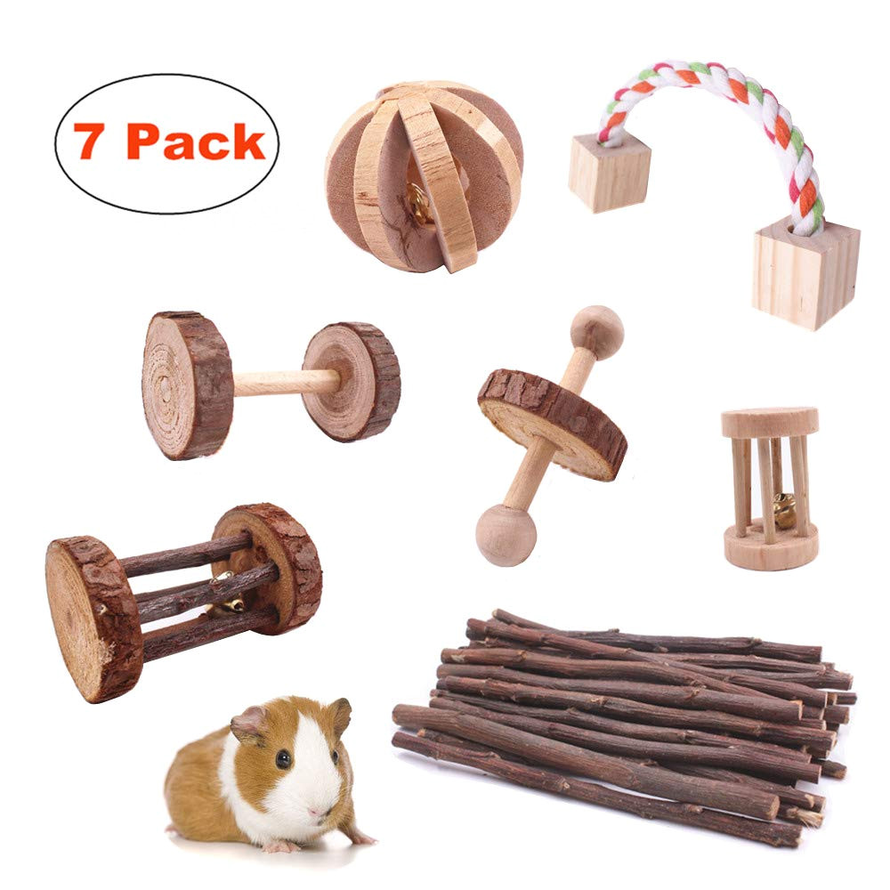 Guinea Pig Chew toys Amazon Amazon Com Guinea Pig toys Chinchilla Hamster Rat Chews toys Bunny