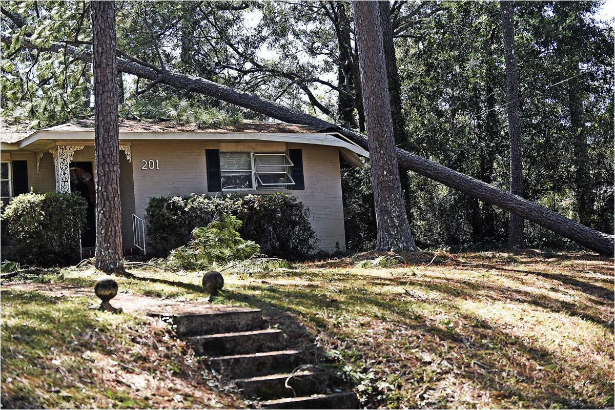 the aftermath of hurricane michael photos from around the wiregrass news dothaneagle com