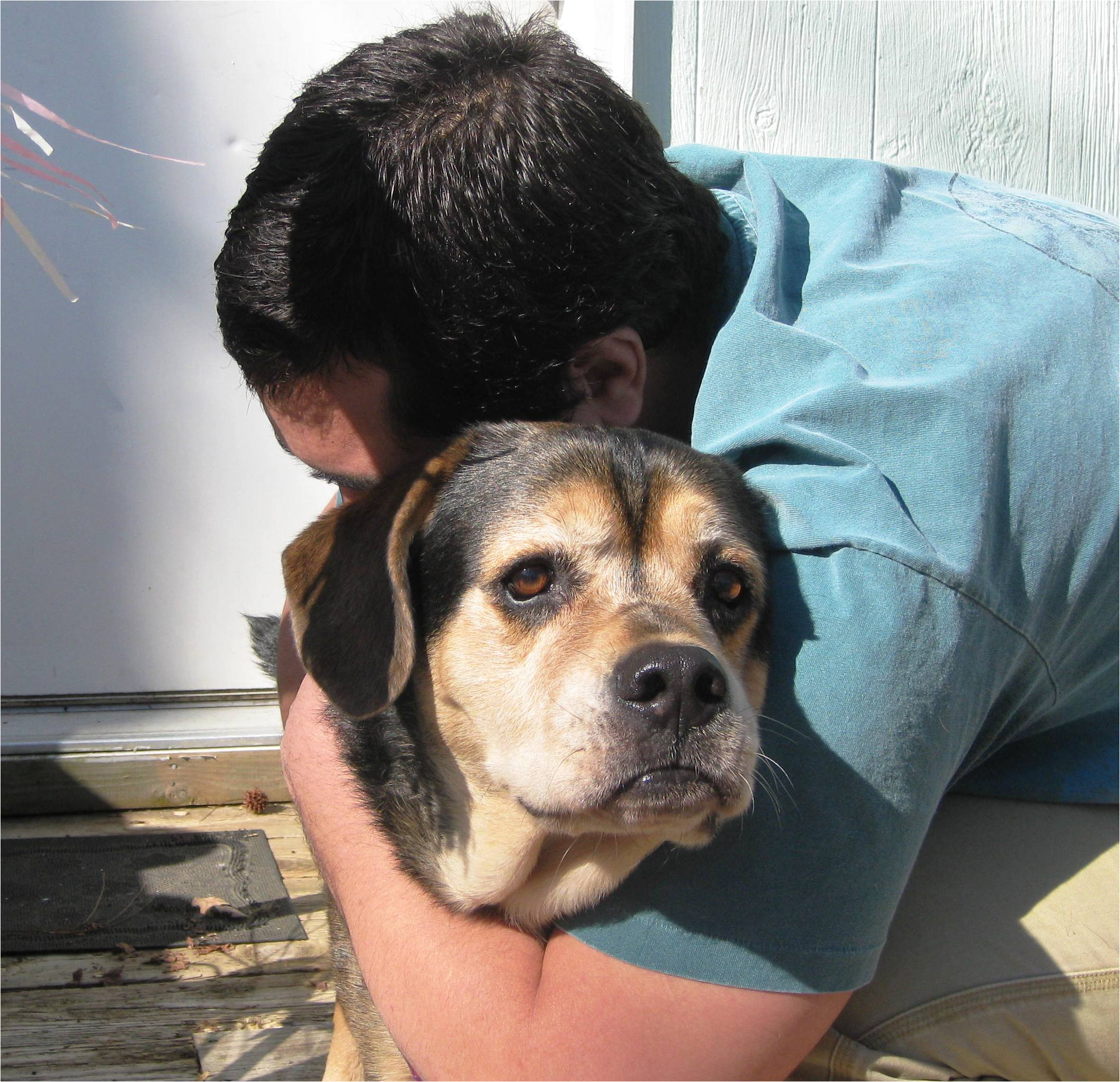 man hugs dog when is it okay to euthanize a pet