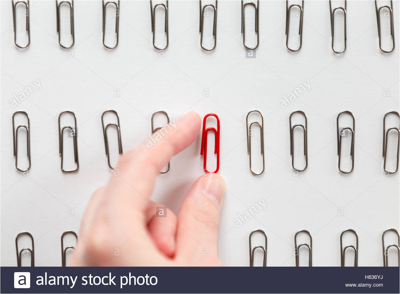 hand picking among metal paperclips one red different from others stock image