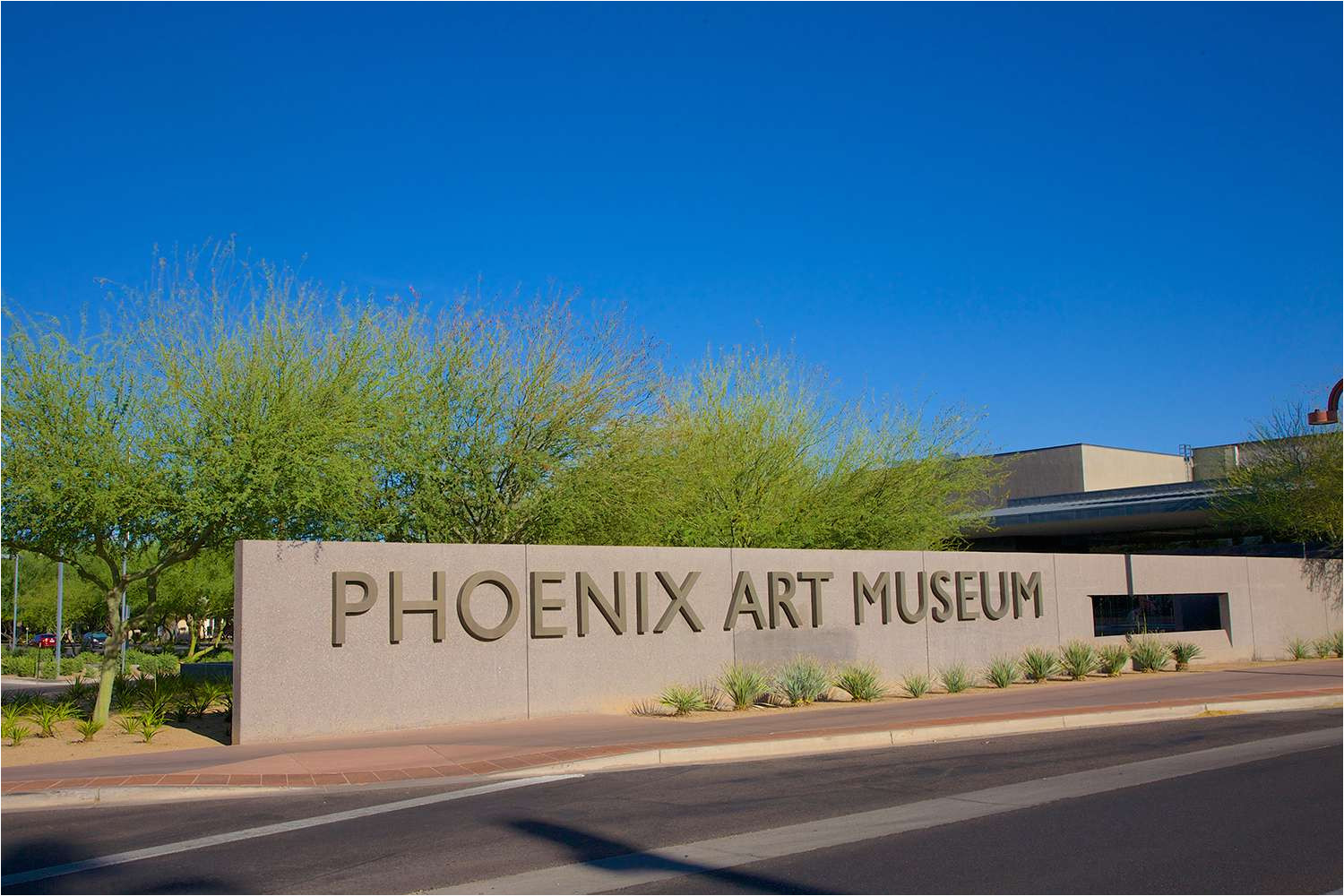 Light the Night Phoenix Art Museum Phoenix Festivals and events In August 2018