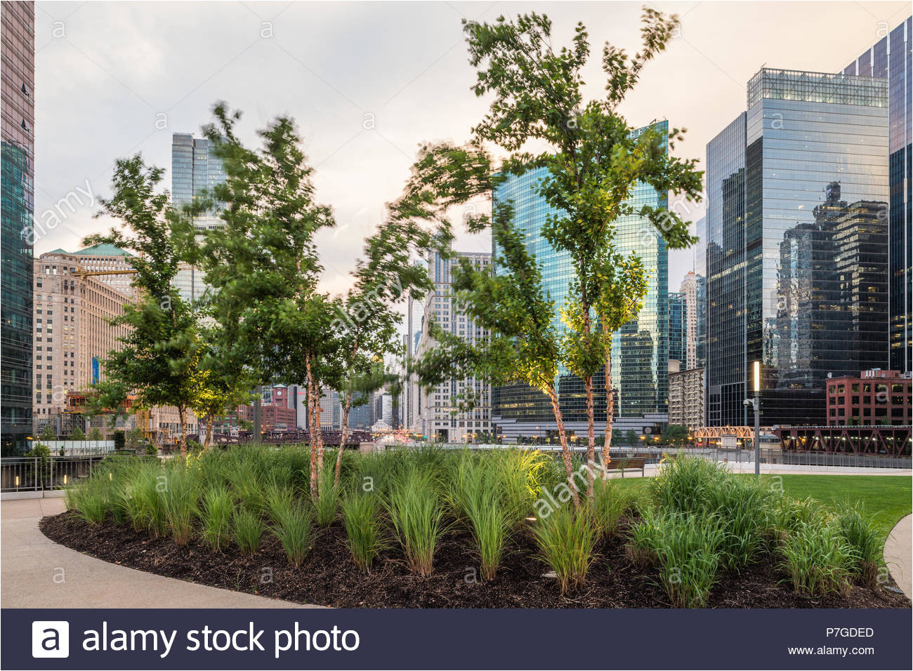 landscape architecture at river point tower stock image