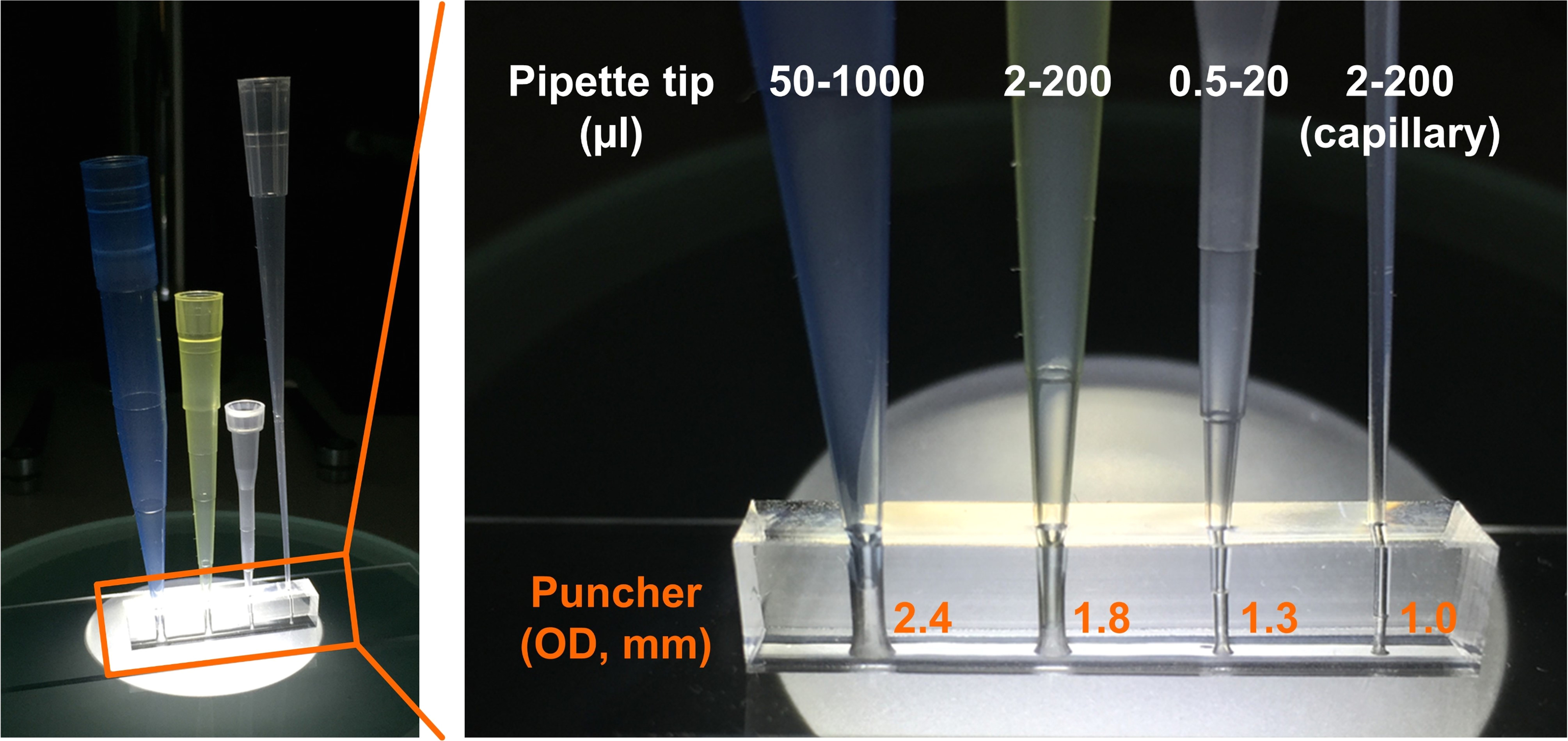 fig 1 direct connection of pipette tips on a pdms device