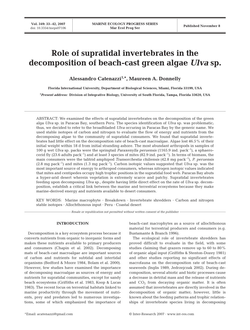pdf role of supratidal invertebrates in the decomposition of beach cast green algae ulva sp