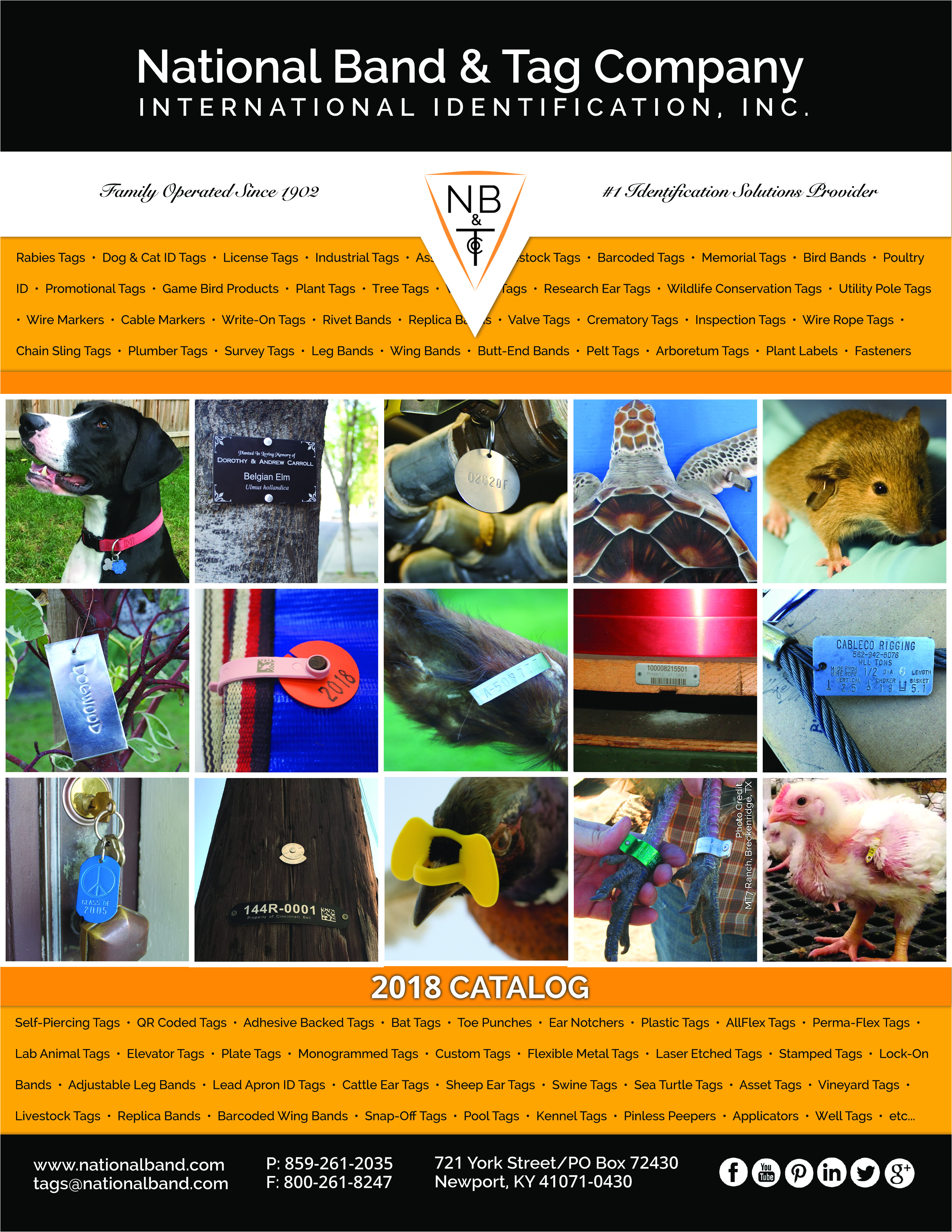 view our catalog