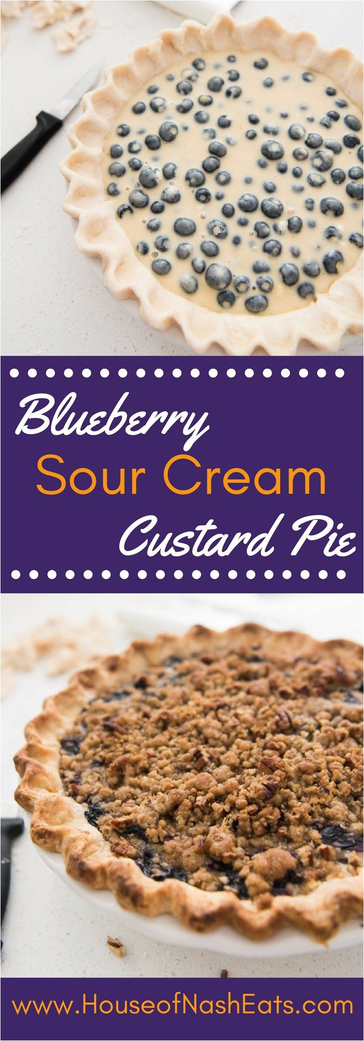 juicy fresh blueberries creamy sour cream custard buttery streusel crumble