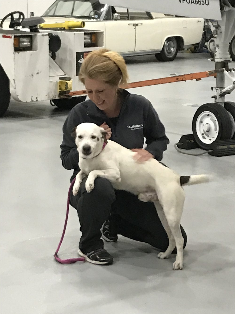 left their refueling station in tennessee and are in flight towards morristown staff at our madison shelter are ready for their arrival each dog has a