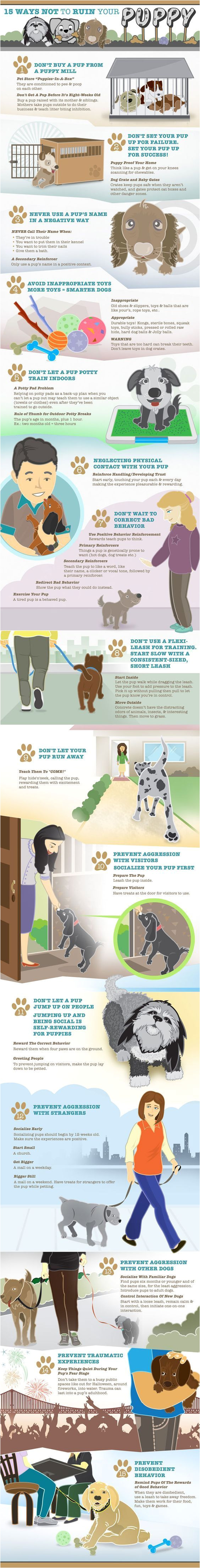 infographic 15 important ways to not ruin your puppy