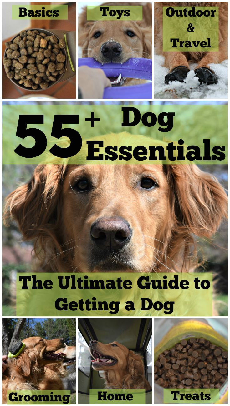 55 dog essentials the ultimate guide to getting a dog