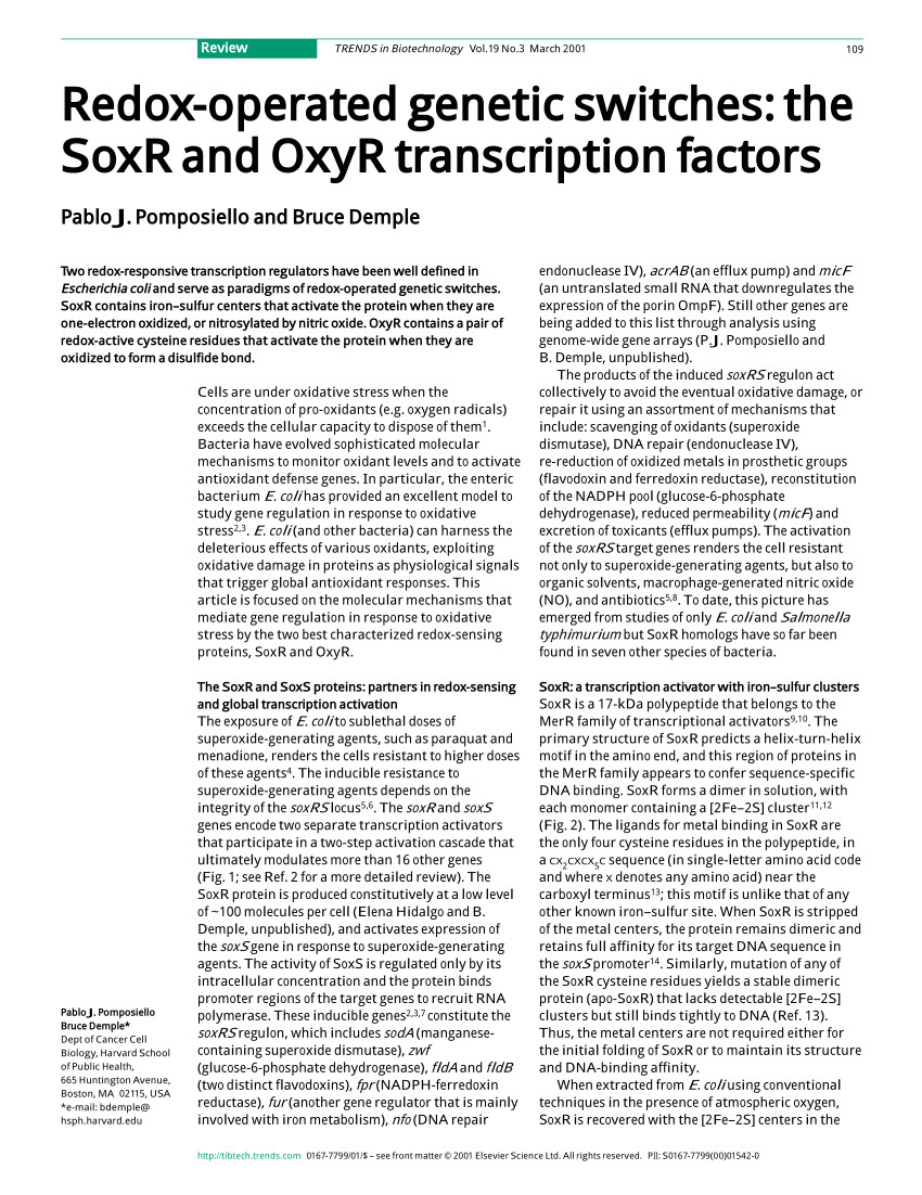 pdf acinetobacter baylyi long term stationary phase protein stip is a protease required for normal cell morphology and resistance to tellurite